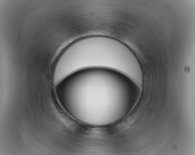 X0000090760064200707201102