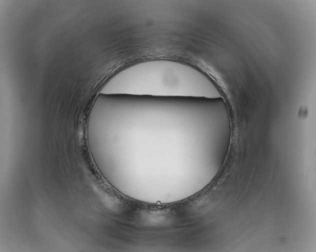 X0000090760065200707201102