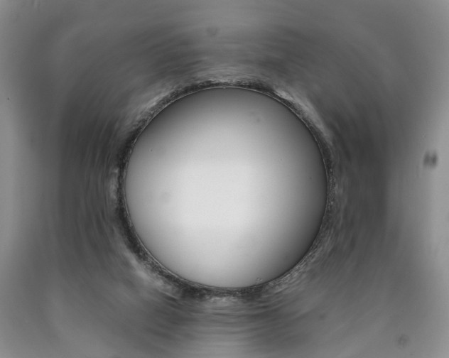 X0000090760066200707201102