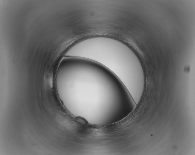 X0000090760068200707201102