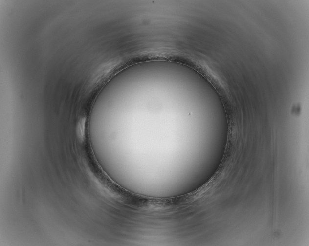 X0000090760070200707201102