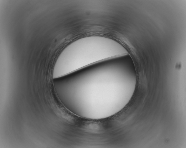 X0000090760073200707201102