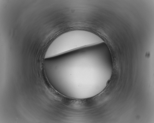 X0000090760074200707201102