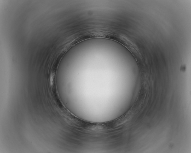 X0000090760075200707201102