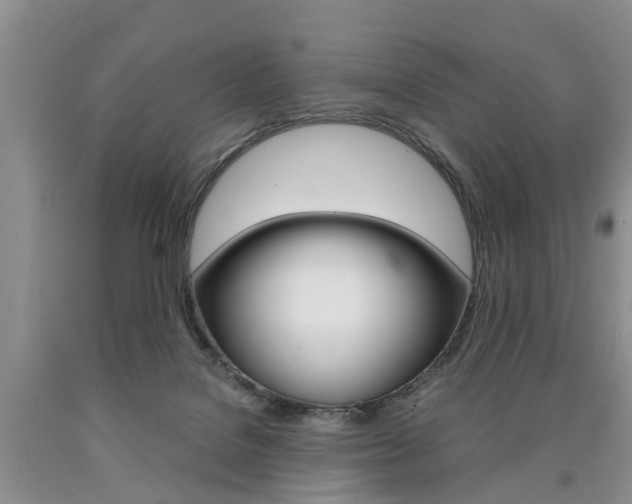 X0000090760076200707201102