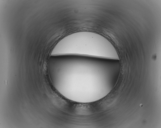 X0000090760077200707201102