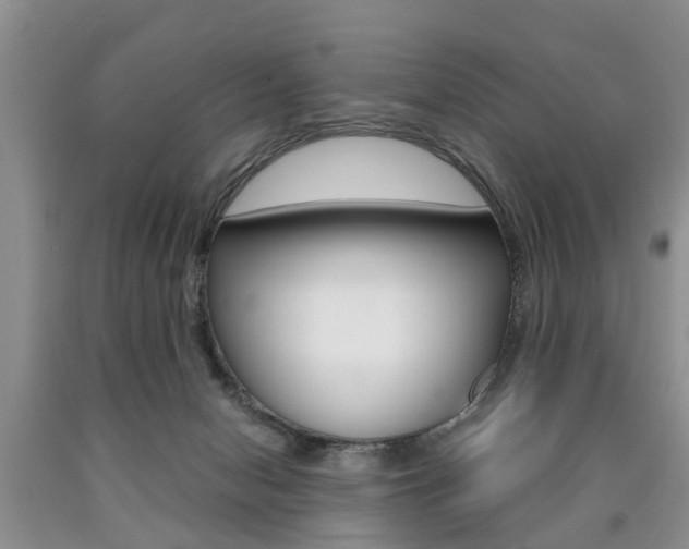 X0000090760078200707201102