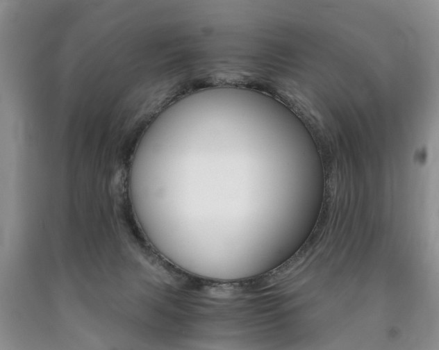 X0000090760079200707201102