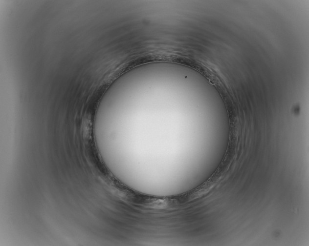 X0000090760083200707201102