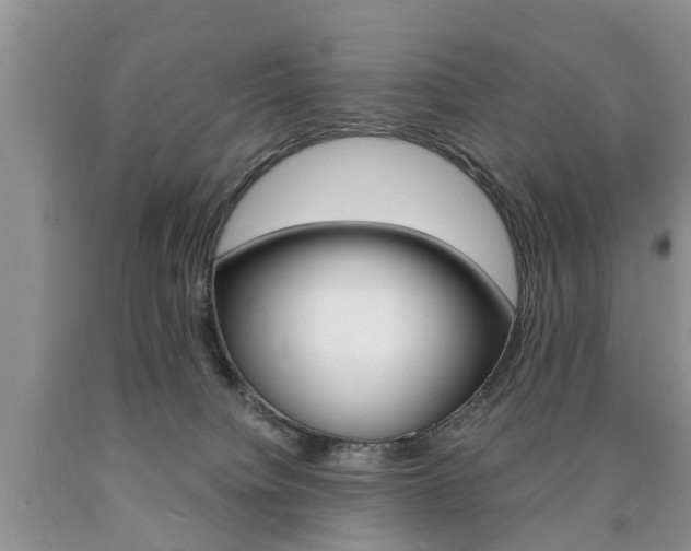 X0000090760084200707201102