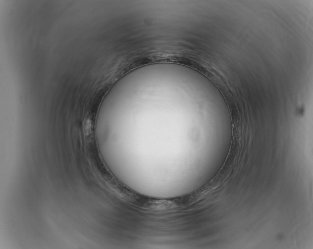 X0000090760087200707201102