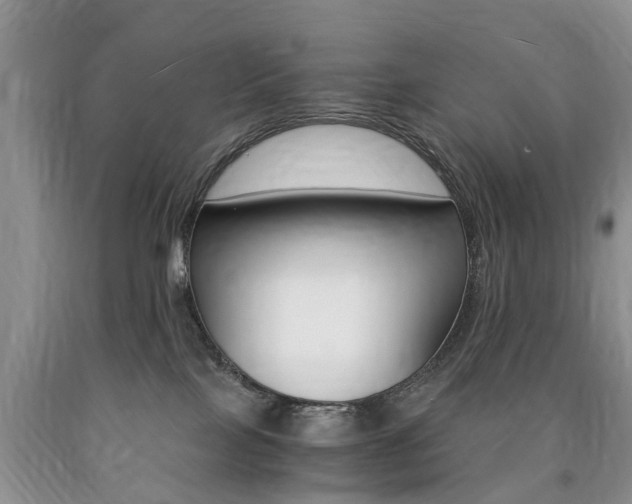 X0000090760089200707201102