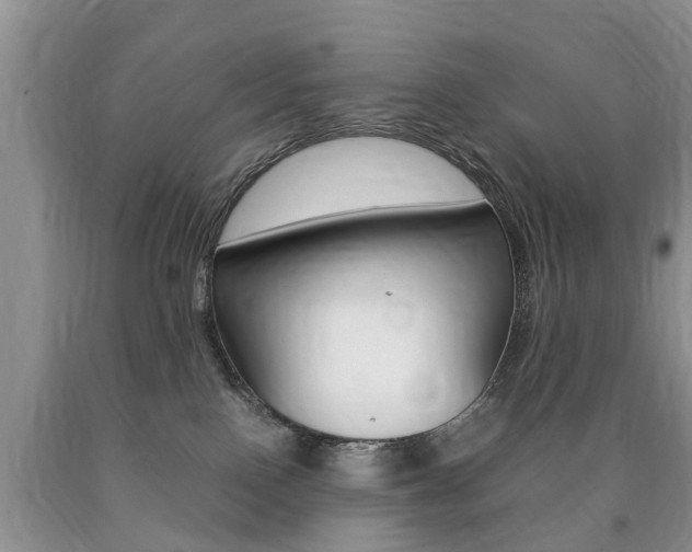 X0000090760090200707201102