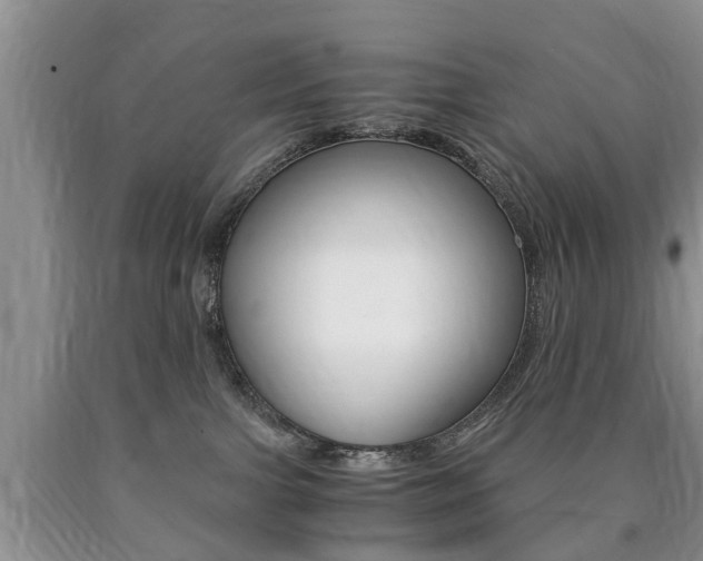 X0000090760091200707201102