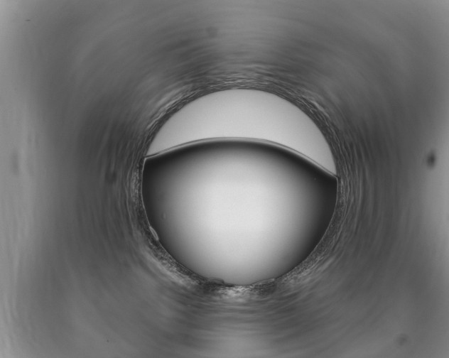 X0000090760092200707201102