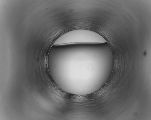 X0000090760093200707201102