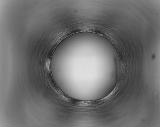 X0000090760094200707201102