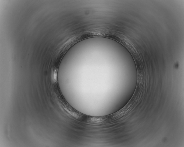 X0000090760095200707201102