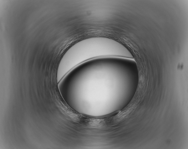 X0000090760096200707201102