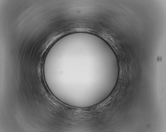 X0000090760098200707201102