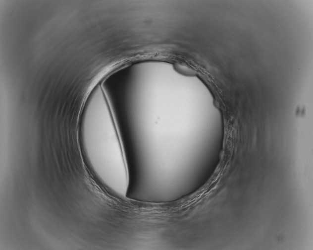 X0000090760100200707201102