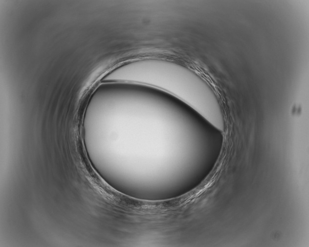 X0000090760101200707201102