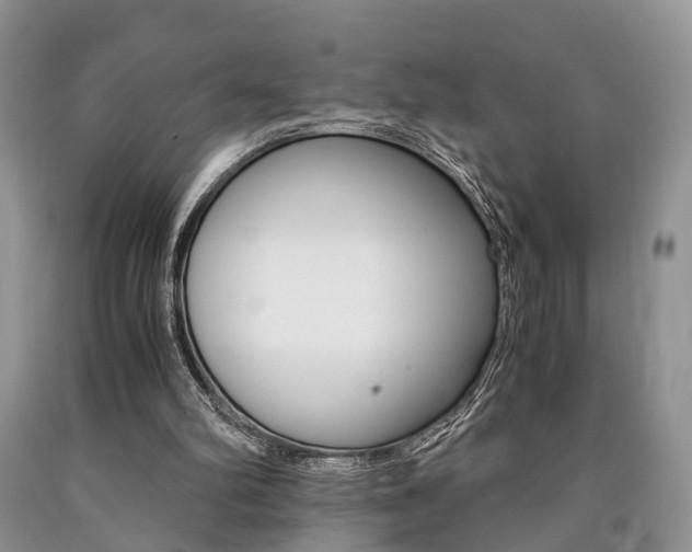 X0000090760102200707201102