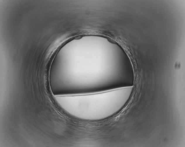 X0000090760103200707201102