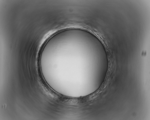 X0000090760104200707201102