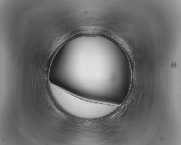 X0000090760105200707201102