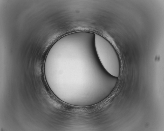 X0000090760106200707201102