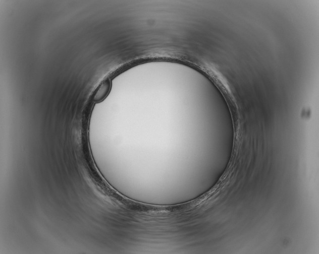 X0000090760108200707201102