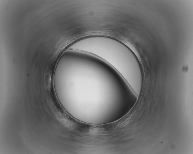 X0000090760109200707201102