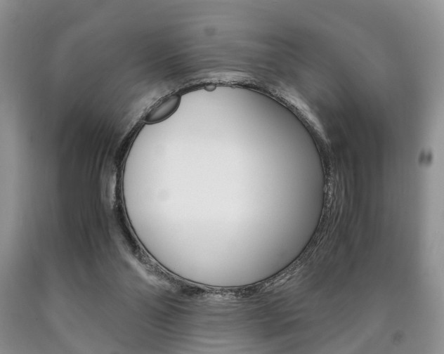 X0000090760110200707201102