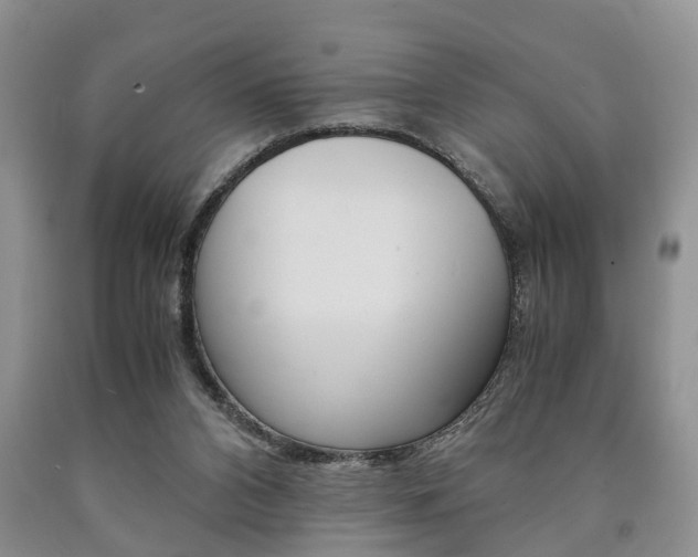 X0000090760112200707201102