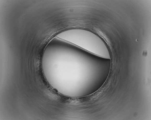 X0000090760113200707201102