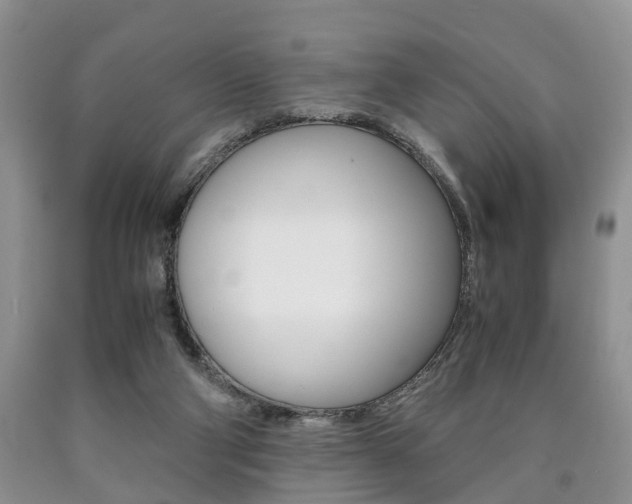 X0000090760114200707201102