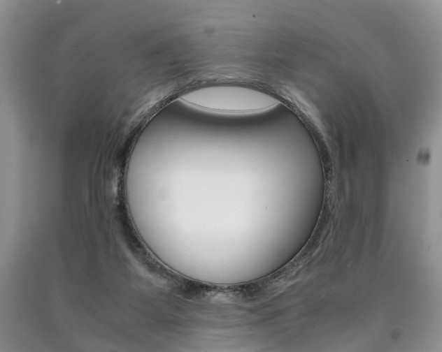 X0000090760115200707201102