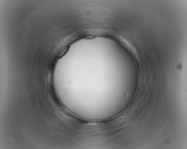 X0000090760117200707201102