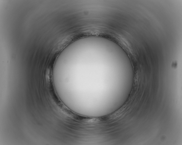 X0000090760122200707201102