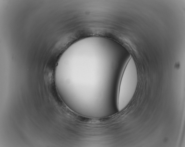 X0000090760123200707201102