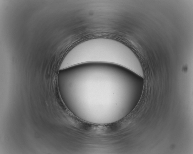 X0000090760125200707201101