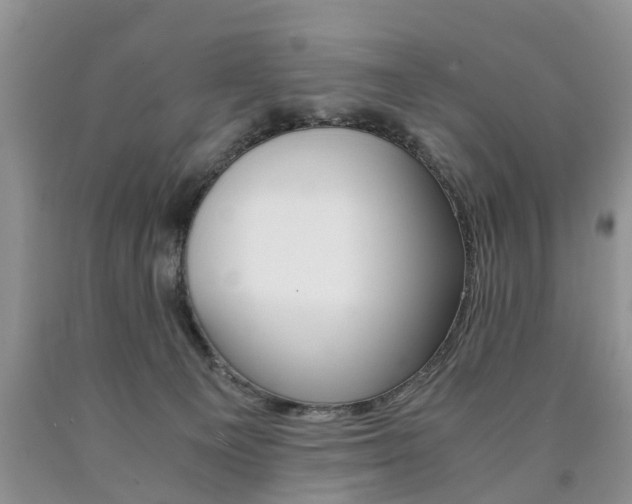 X0000090760129200707201101
