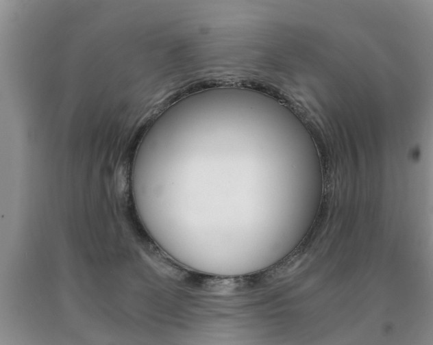 X0000090760131200707201101