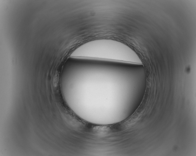 X0000090760133200707201101