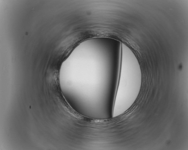 X0000090760141200707201101