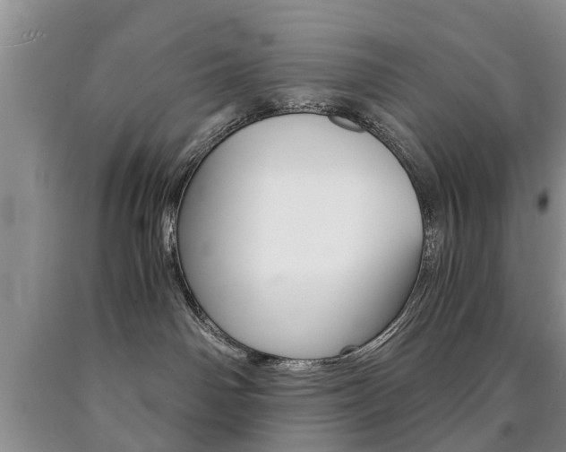 X0000090760142200707201101