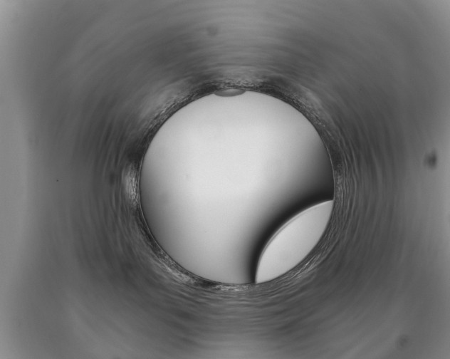 X0000090760143200707201101