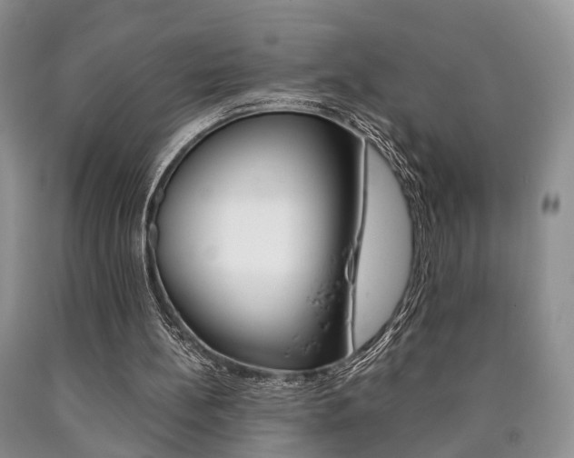 X0000090760148200707201101