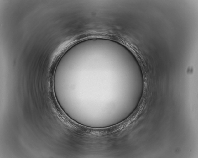X0000090760149200707201101
